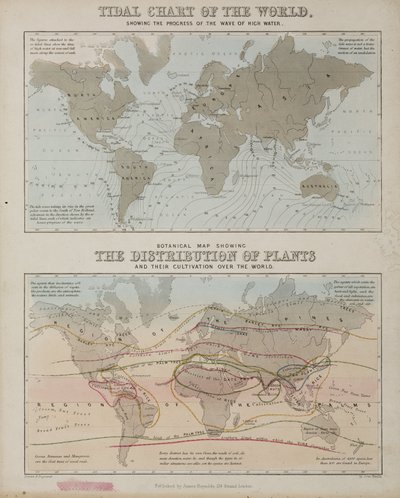 Et tidevannskart og et kart over distribusjonen av planter over hele verden, ca 1850 av John Pardon