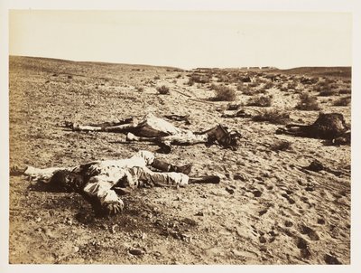 Død soldat i Tel-el-Kebir, Egypt, 6. desember 1882 av John Pardon