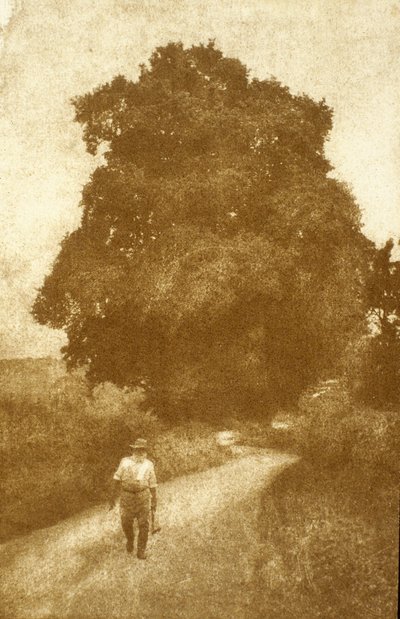 Surrey av John Pardon