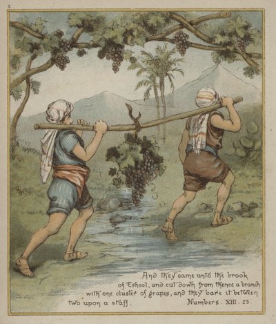 En drueklase fra Eshcol av Richard Andre