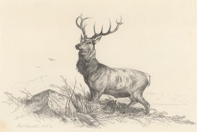 Sentinelen av Richard Ansdell