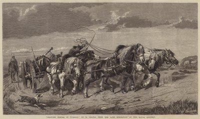 Tegning av tømmer i Picardie av Richard Beavis