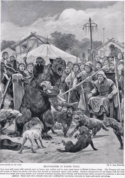 Bjørn som lokker i saksisk tid, fra 'Hutchison's Story of the British Nation', ca. 1920 av Richard Caton Woodville