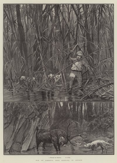 Elg- eller Sambhur-hjortjakt, på Ceylon av Richard Caton Woodville junior