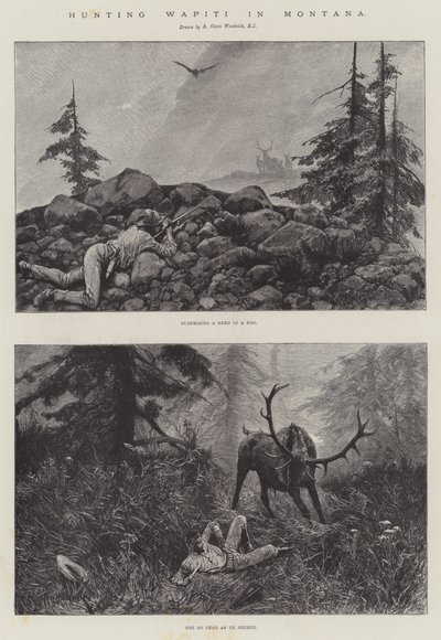 Jakt Wapiti i Montana av Richard Caton Woodville junior