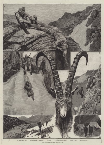 Ibex-Shooting in the Himalaya gravering av Richard Caton Woodville junior