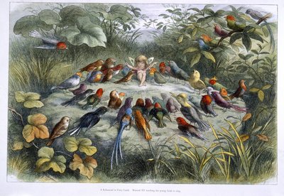 En alv og fugler av Richard Doyle