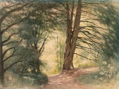 Box Hill, Surrey av Richard Doyle