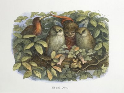 Alv og ugler av Richard Doyle