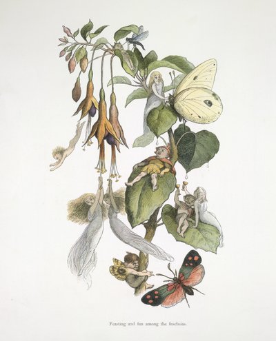 Fest og moro blant fuschiaene av Richard Doyle
