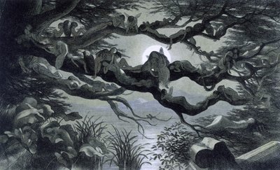 Feer, nymfer og alver som hviler i måneskinnet på en gren? Illustrasjon av ""In Fairyland. En serie bilder fra alven - verden"" av Richard Doyle 1869-1870 The British Library Institution Referanse: Hyllemerke ID: 1876 e18 