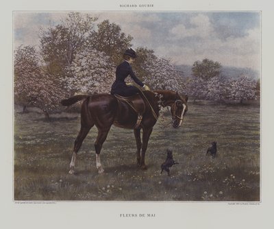 mai blomster av Richard Doyle