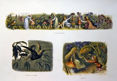 I Eventyrland av Richard Doyle