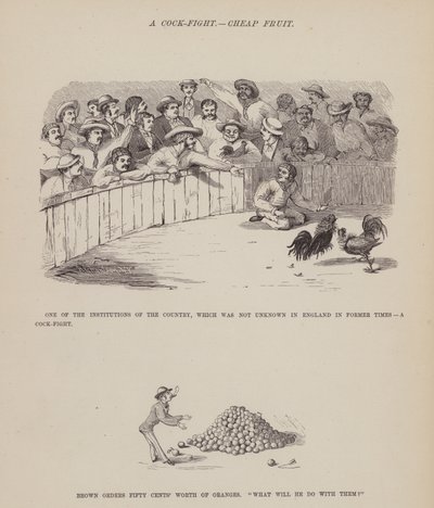 Side fra The American Tour of Mrs Brown, Jones and Robinson (gravering) av Richard Doyle