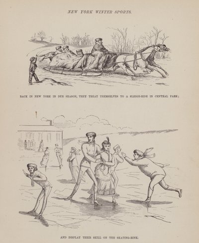 Side fra The American Tour of Mrs Brown, Jones and Robinson (gravering) av Richard Doyle