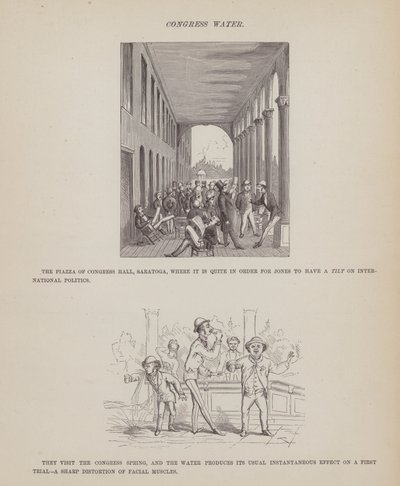 Side fra The American Tour of Mrs Brown, Jones and Robinson (gravering) av Richard Doyle