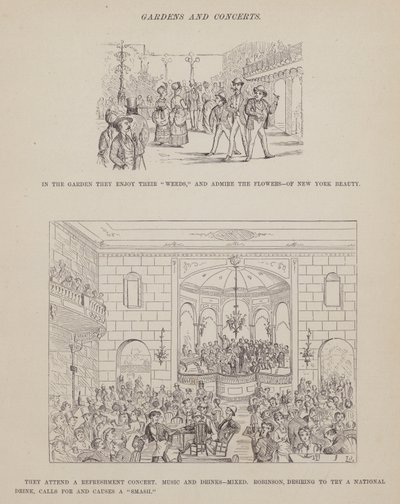 Side fra The American Tour of Mrs Brown, Jones and Robinson (gravering) av Richard Doyle