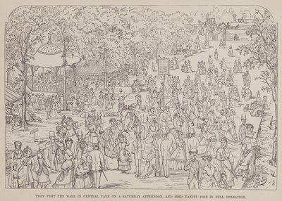 Side fra The American Tour of Mrs Brown, Jones and Robinson (gravering) av Richard Doyle