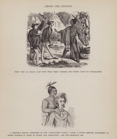 Side fra The American Tour of Mrs Brown, Jones and Robinson (gravering) av Richard Doyle