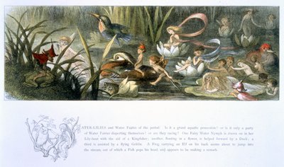 Water-Lilies and Water Fairies, illustrasjon fra 