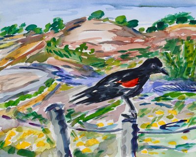 Perched, 2021 (akvarell på papir) av Richard Fox