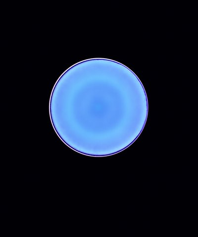 Circle X, 2005 (digitalt c-type fotogram) av Richard Green