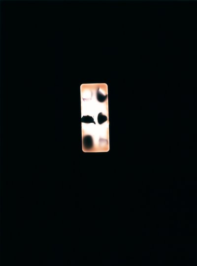 Uten tittel, 2004 (unikt c-type fotogram) av Richard Green
