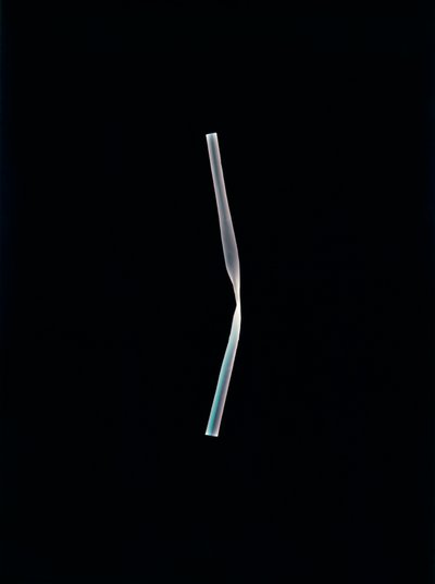 Uten tittel, 2004 (unikt c-type fotogram) av Richard Green