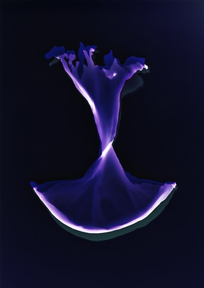 Uten tittel, 2004 av Richard Green