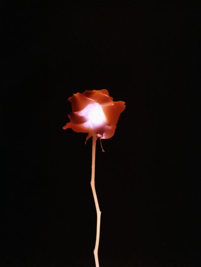 Uten tittel, 2007 av Richard Green