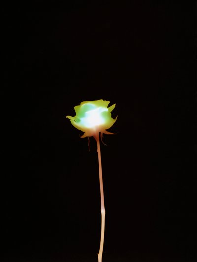Uten tittel, 2007 av Richard Green