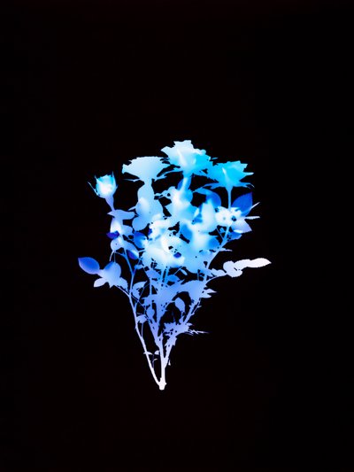 Uten tittel, 2008 av Richard Green