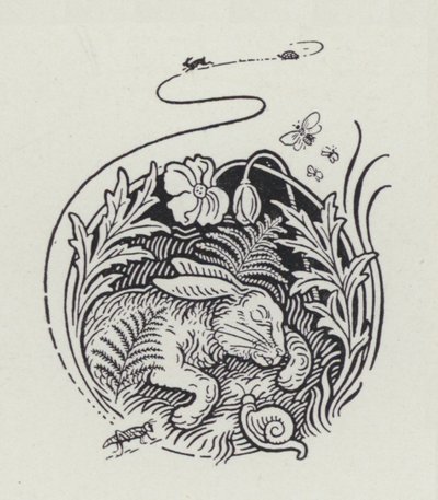 Haren og skilpadden (gravering) av Richard Heighway