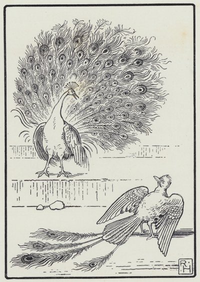 Jay And The Peacock (gravering) av Richard Heighway