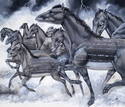  av Richard Hook