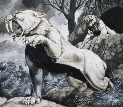  av Richard Hook