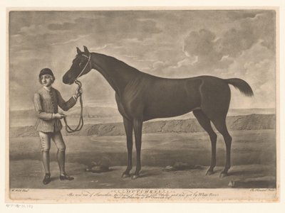 Racepaard med jockey Dutchess av Richard Houston