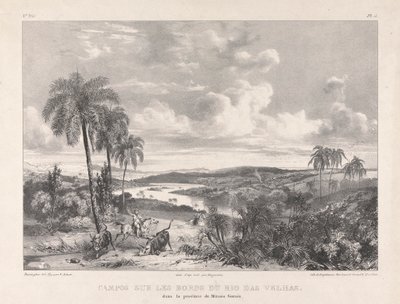 Campos sur les bords i Rio das Velhas av Richard Parkes Bonington
