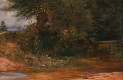 Myrhønas tilholdssted av Richard Redgrave