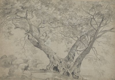 Arbra Sacra på bredden av Lake Nemi, ca. 1754-56 (svart og hvitt kritt på papir) av Richard Wilson