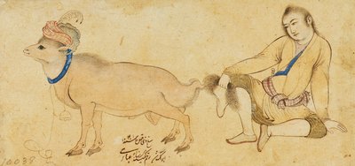 Studie av en ung mann og en vær, 1630-31 eller senere av Riza i Abbasi
