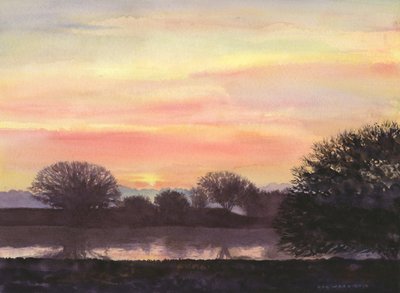 Vintersolverv, 2014 (akvarell på papir) av Rob Wood