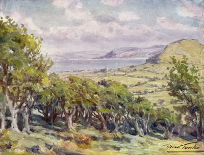Nær Colwyn Bay (farge litho) av Robert (after) Fowler
