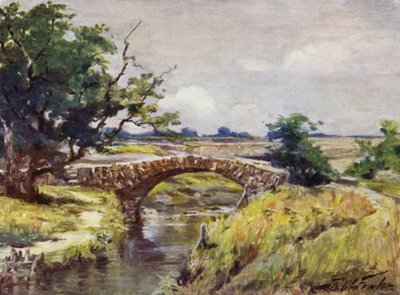 Old Roman Bridge, nær Swansea (farge litho) av Robert (after) Fowler