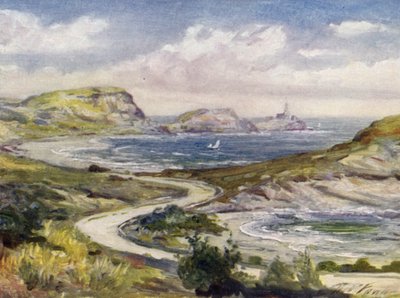 Utsikt nær Mumbles, Swansea (farge litho) av Robert (after) Fowler