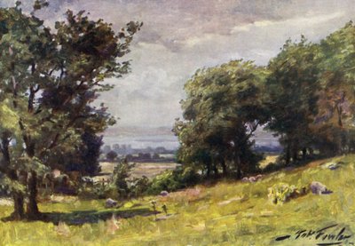 Vindfull dag, nær Llanrug (farge litho) av Robert (after) Fowler