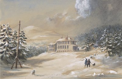 Trinity Bay, Newfoundland, utvendig utsikt over Telegraph House i 1857-1858, 1865-66. av Robert Charles Dudley