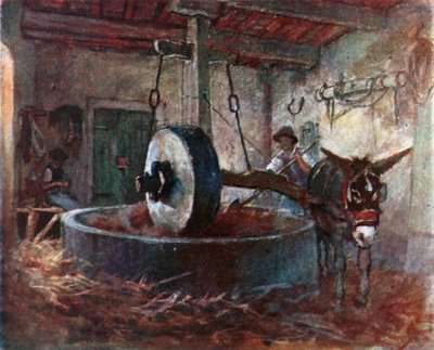 Toskansk oljepresse (fargelitografi) av Robert Charles Goff