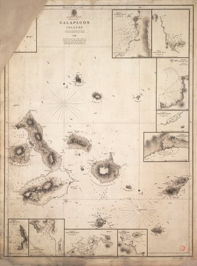  av Robert Fitzroy