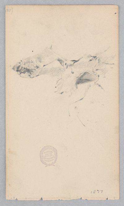 Teppe i tigerskinn av Robert Frederick Blum